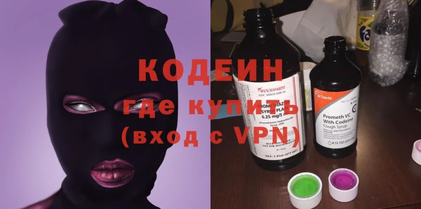 СК Кодинск