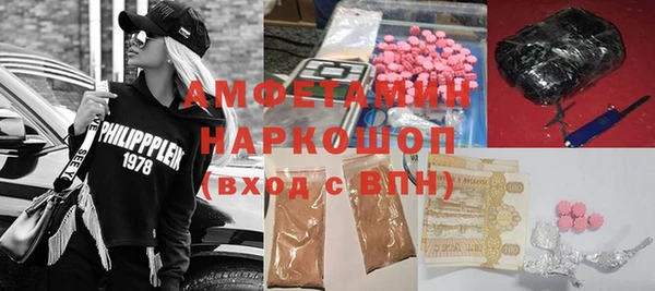 молекула духа Алексеевка